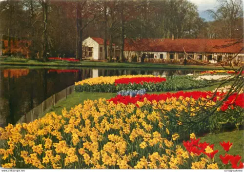 A5744 Netherlands Lisse Keukenhof tulips view