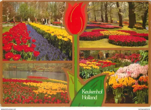 A5744 Netherlands Keukenhof tulips flowers multi view