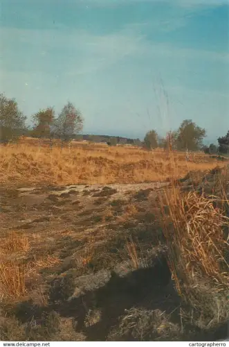 A5743 Belgium Heide Kalmthout Duinen