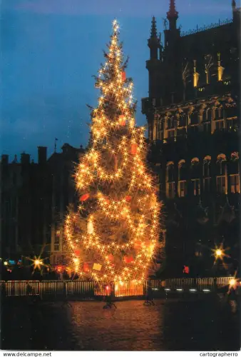 A5741 Belgium Bruxelles Grand Place with illuminated Christmas tree vue de nuit
