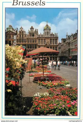 A5741 Belgium Bruxelles Grand Place et Marche aux fleurs