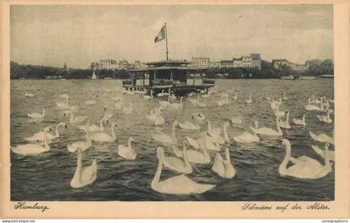 A6195 AK Germany Hamburg swans