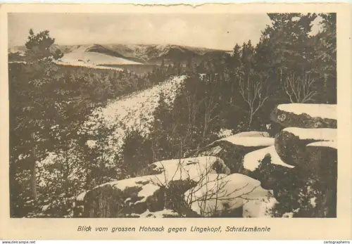A5830 France Blick vom grossen Hohnack gegen Lingekopf, Schratzmannle