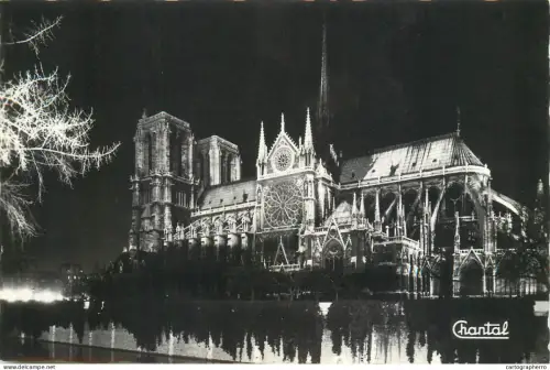 A5819 France Paris Notre Dame vue de nuit