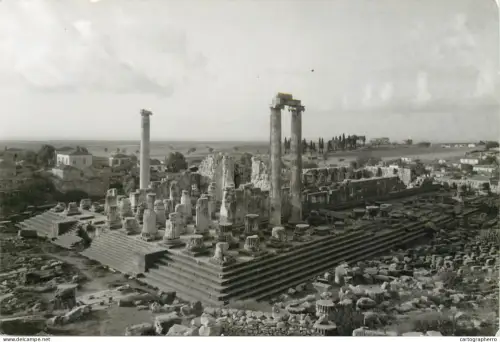 A5818 Turkey Didym Apollo Temple