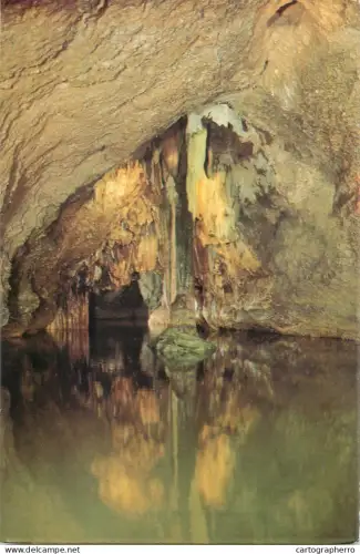 A5783 Belgium Grottes de Remouchamps Le Palmier