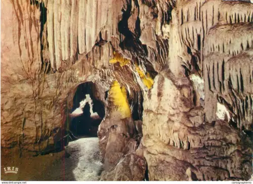 A5783 Belgium Grottes de Remouchamps Galerie Ogivale
