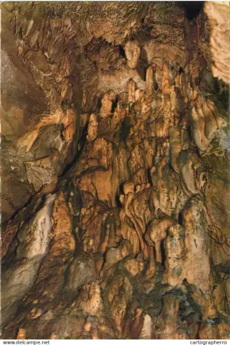 A5783 Belgium Grottes de Remouchamps Le Plafond Perle