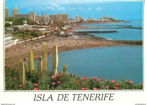 A5779 Spain Tenerife Playa de las Americas