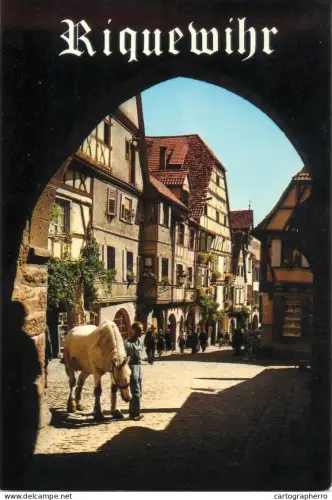 A5777 France Riquewihr Alsace Rue du General de Gaulle