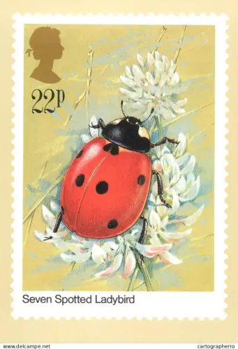 A5422 British stamp designed postcard Gordon Beningfield Seven spotted Ladybird insects