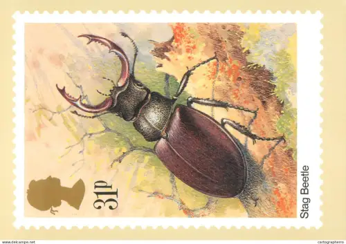 A5422 British stamp designed postcard Gordon Beningfield Stag beetle insects