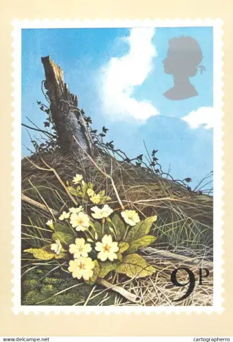 A5422 British stamp designed postcard Peter Newcombe Primroses flowers