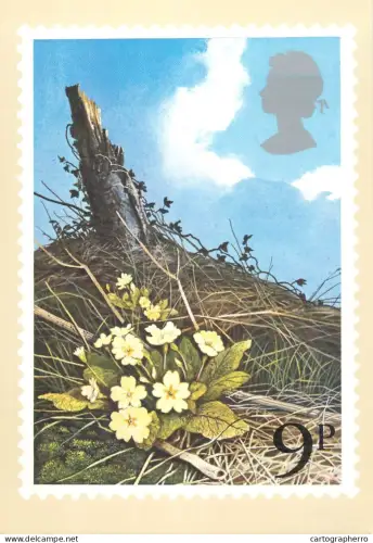 A5422 British stamp designed postcard Peter Newcombe Primroses flowers
