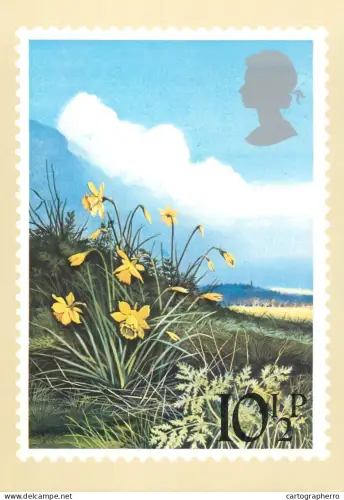 A5422 British stamp designed postcard Peter Newcombe Daffodils flowers