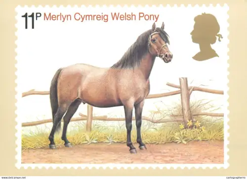 A5422 British stamp designed postcard Patrick Oxenham Welsh Pony