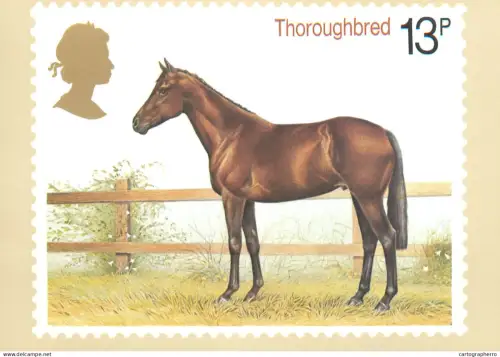 A5422 British stamp designed postcard Patrick Oxenham Thoroughbred