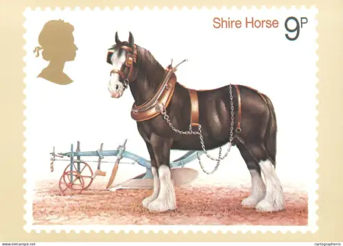 A5422 British stamp designed postcard Patrick Oxenham Shire Horse