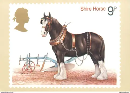 A5422 British stamp designed postcard Patrick Oxenham Shire Horse