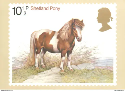 A5422 British stamp designed postcard Patrick Oxenham Stetland Pony