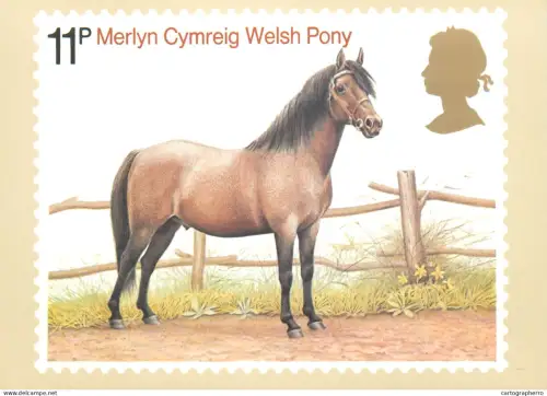 A5422 British stamp designed postcard Patrick Oxenham Welsh Pony