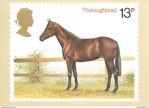 A5422 British stamp designed postcard Patrick Oxenham Thoroughbred