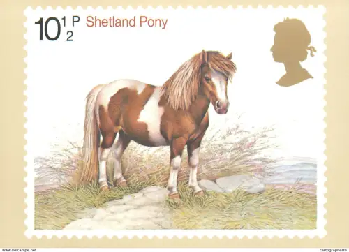A5422 British stamp designed postcard Patrick Oxenham Shetland Pony