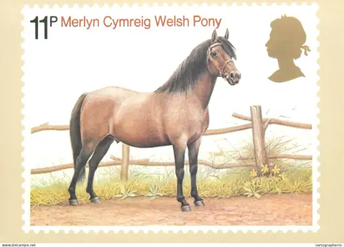 A5422 British stamp designed postcard Patrick Oxenham Welsh Pony
