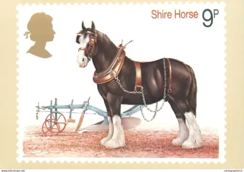 A5422 British stamp designed postcard Patrick Oxenham Shire Horse