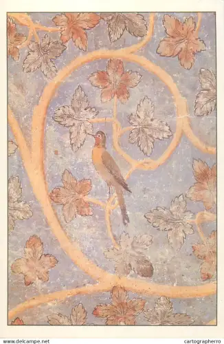 A5564 Paintings Camera Papei Avignon Bird