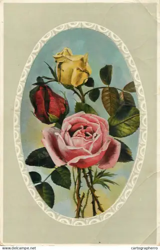 A6232 Roses 1911