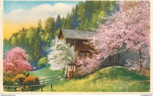 A6232 Landscape with blooming trees postcard 1929