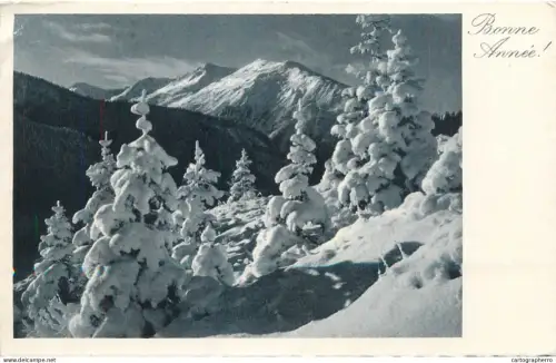 A6232 Bonne Annee 1934