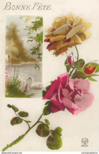 A6232 Birthday greetings France vintage postcard with roses and swans