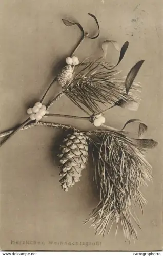 A6232 Christmas postcard branch of a conifer (pine) with cones and mistletoe