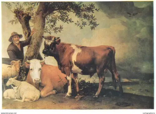 A5560 Paintings Paulus Potter the young bull