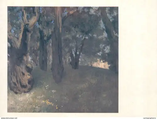 A5560 Paintings Leon Bakst Olive grove