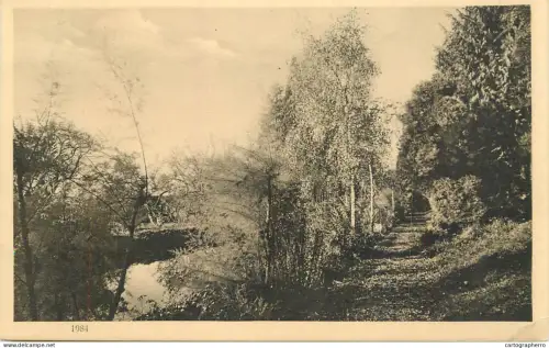 A6234 Switzerland nature trees old postcard 1932