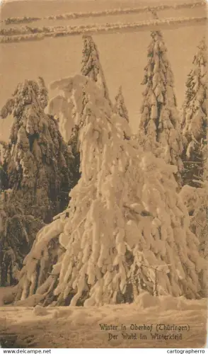 A5833 Germany Thuringen Wald Winter in Oberhof