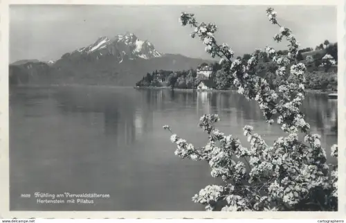 Switzerland postcard Hertenstein mit Pilatus Fruhling am Vierwaldstattersee 1953