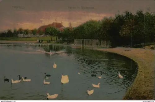 A5885 Germany Krefeld lake and swans