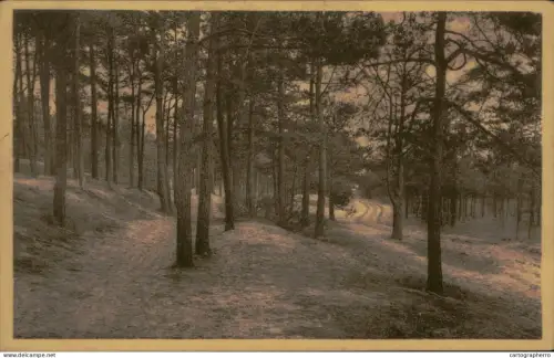 A5885 Belgium Kasterlee forest road