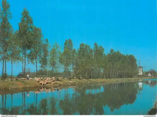 A5583 Belgium Damme river farm landscape