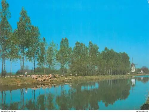 A5583 Belgium Damme river landscape