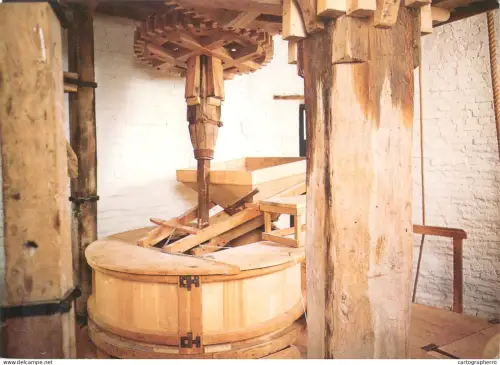 A5583 Belgium Damme gear wheel and grinding seat
