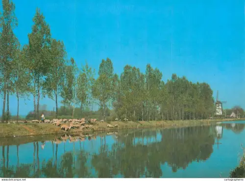 A5583 Belgium Damme farm