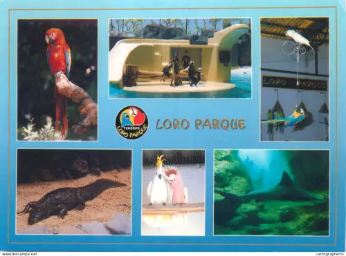 A5501 Spain Tenerife Loro Parque