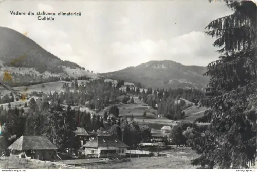A5461 Romania Colibita vedere padure