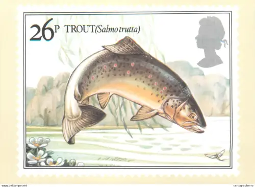 A5426 British stamp designed postcard Alex Jardin Fishes Trouth