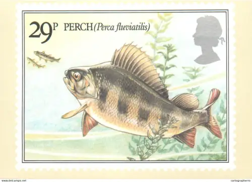 A5426 British stamp designed postcard Alex Jardin Fishes Perch